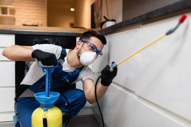 Best Pest Prevention Services  in Ridgway, CO