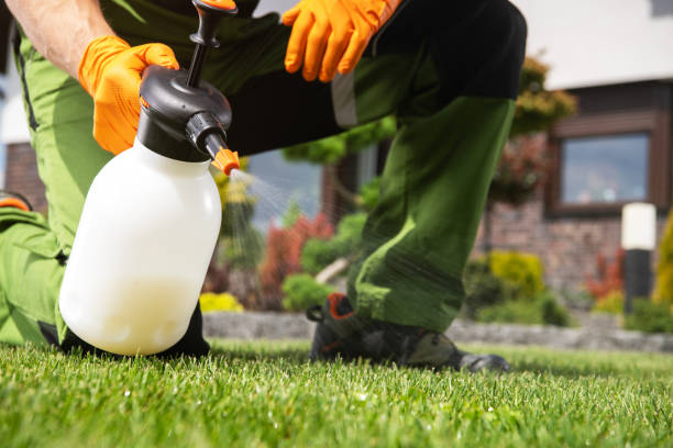 Best Best Pest Control Companies  in Ridgway, CO