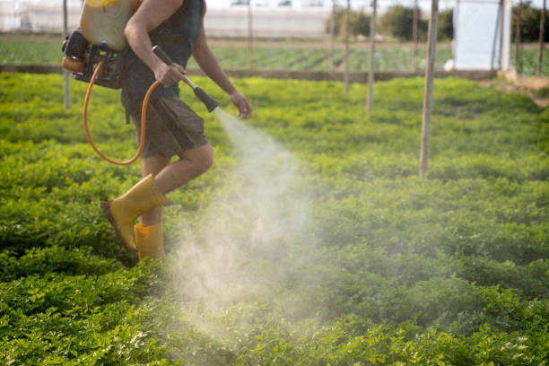 Best Pest Inspection Near Me  in Ridgway, CO