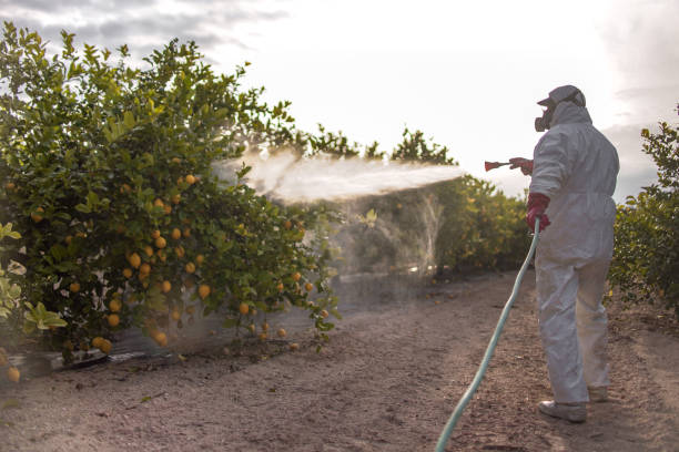 Best Commercial Pest Control Services  in Ridgway, CO