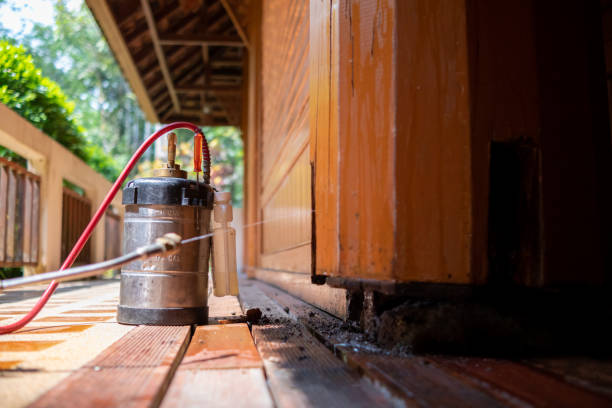 Best Affordable Pest Control Services  in Ridgway, CO
