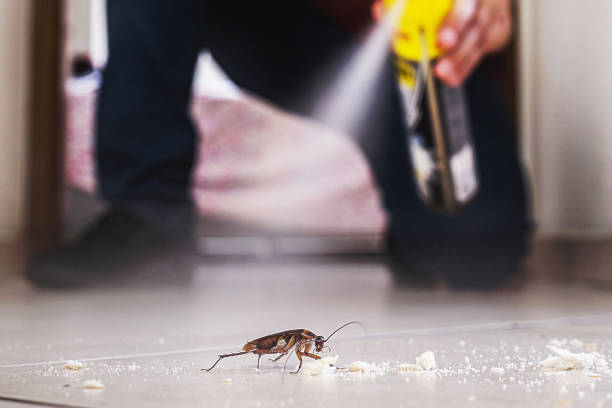 Best Bed Bug Extermination  in Ridgway, CO